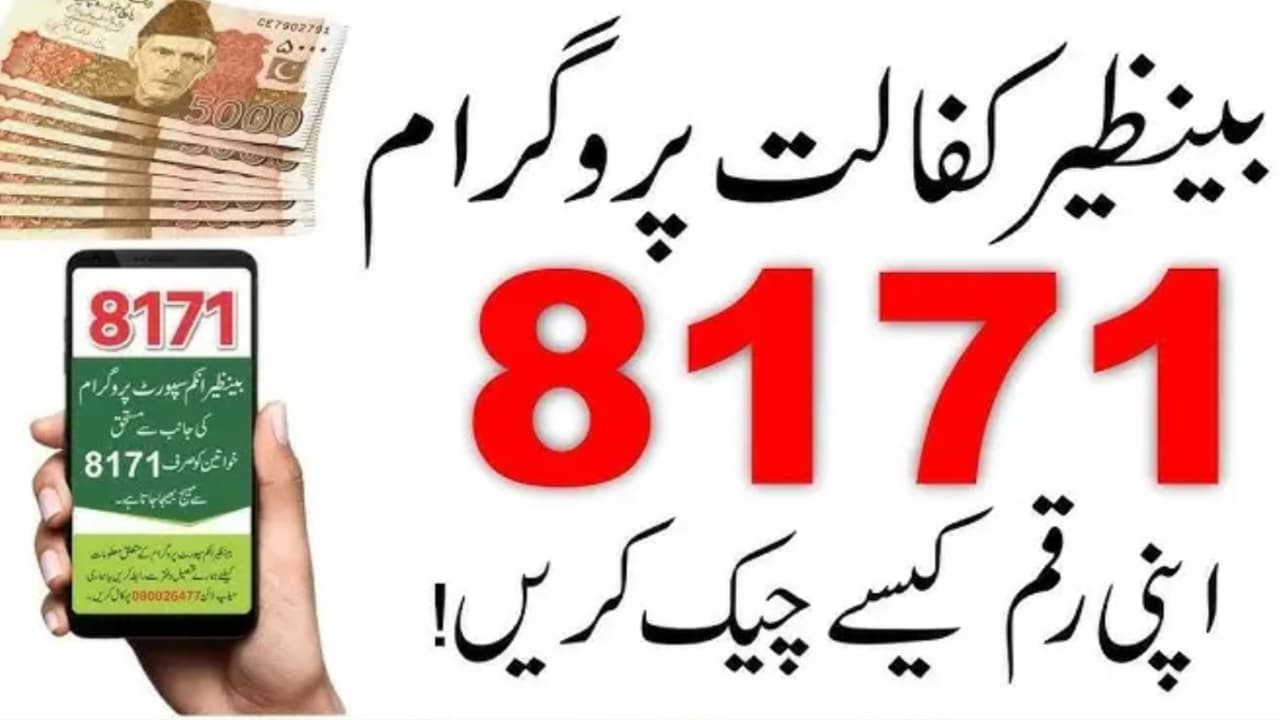 How to Check Your BISP Payment by CNIC in 2025: Complete Step-by-Step Guide, inkalchemy.online