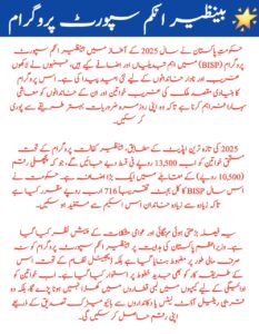 How to Check Your BISP Payment by CNIC in 2025: Complete Step-by-Step Guide, inkalchemy.online