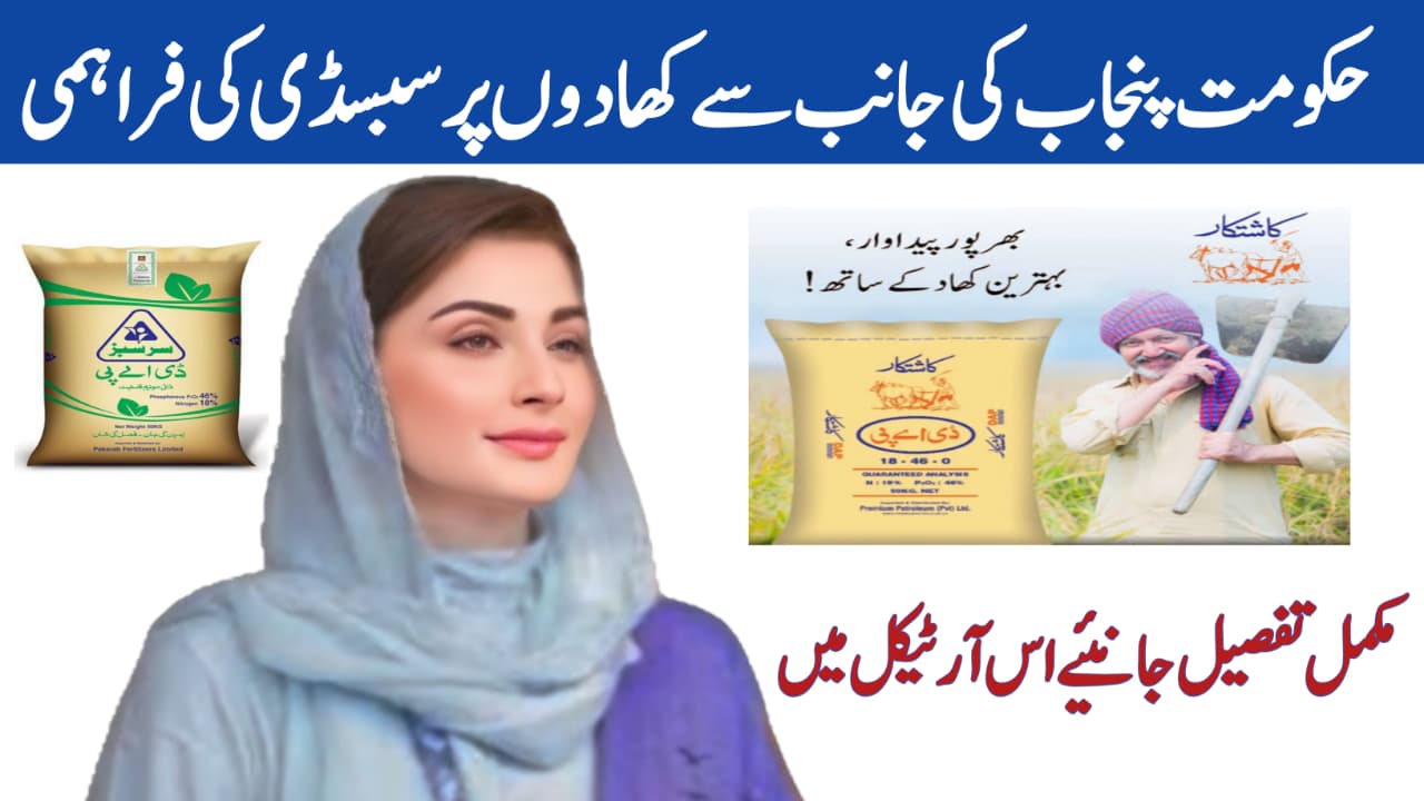 Punjab Government Fertilizer Subsidy Program 2025 || Full Details, Eligibility &, inkalchemy.online